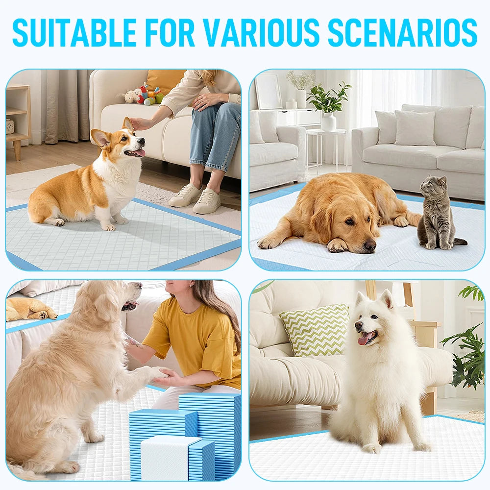 Super Absorbent Pet Training Pads For Dogs And Cats Leakproof