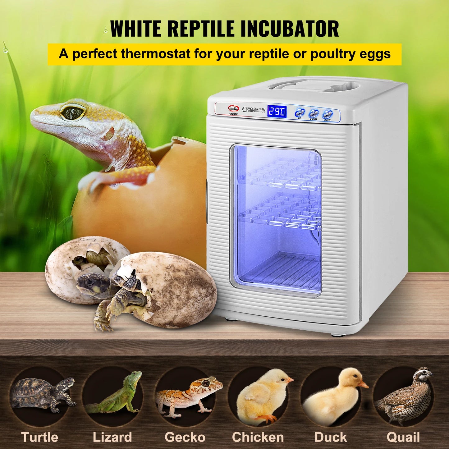 Reptile Incubator With Automatic Hatchery For Eggs Snakes And Turtles