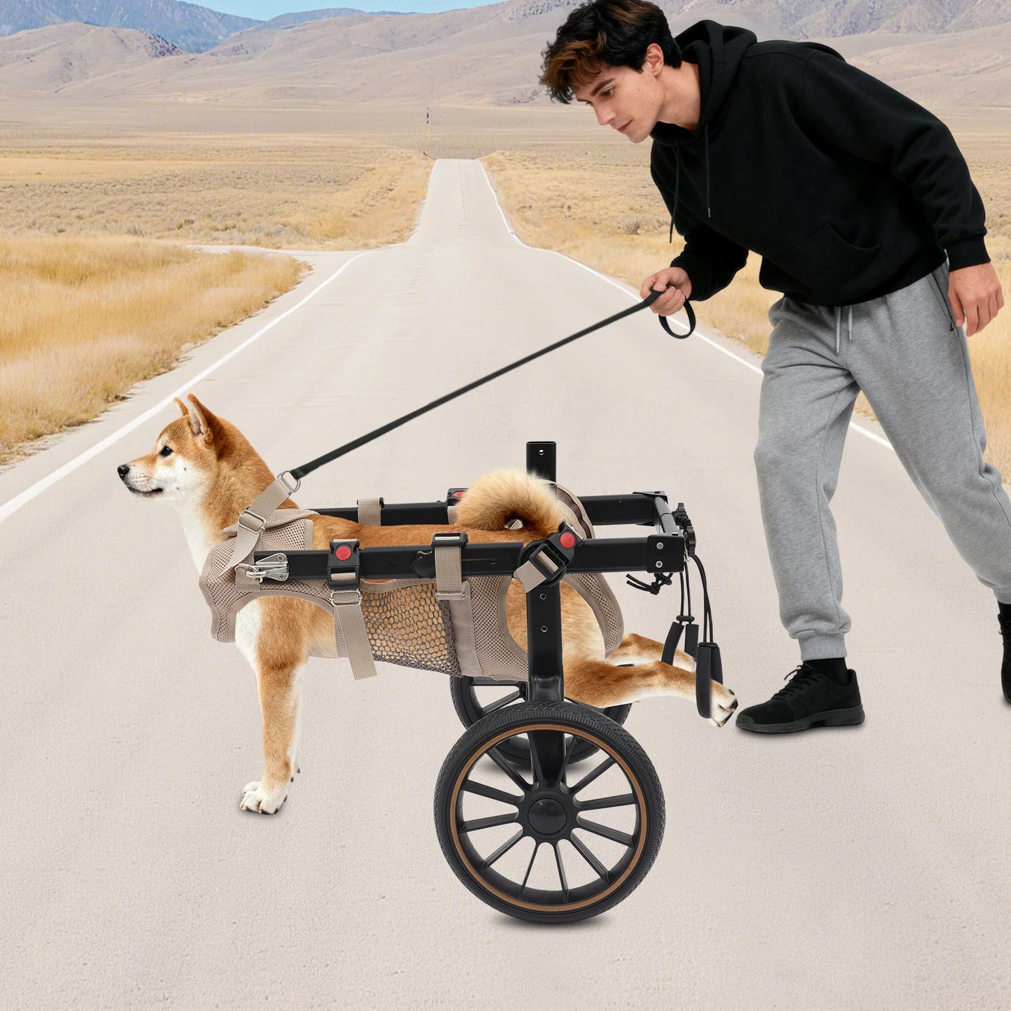 Bymaocar Aluminum Dog Wheelchair For Hind Legs Up To 65kg