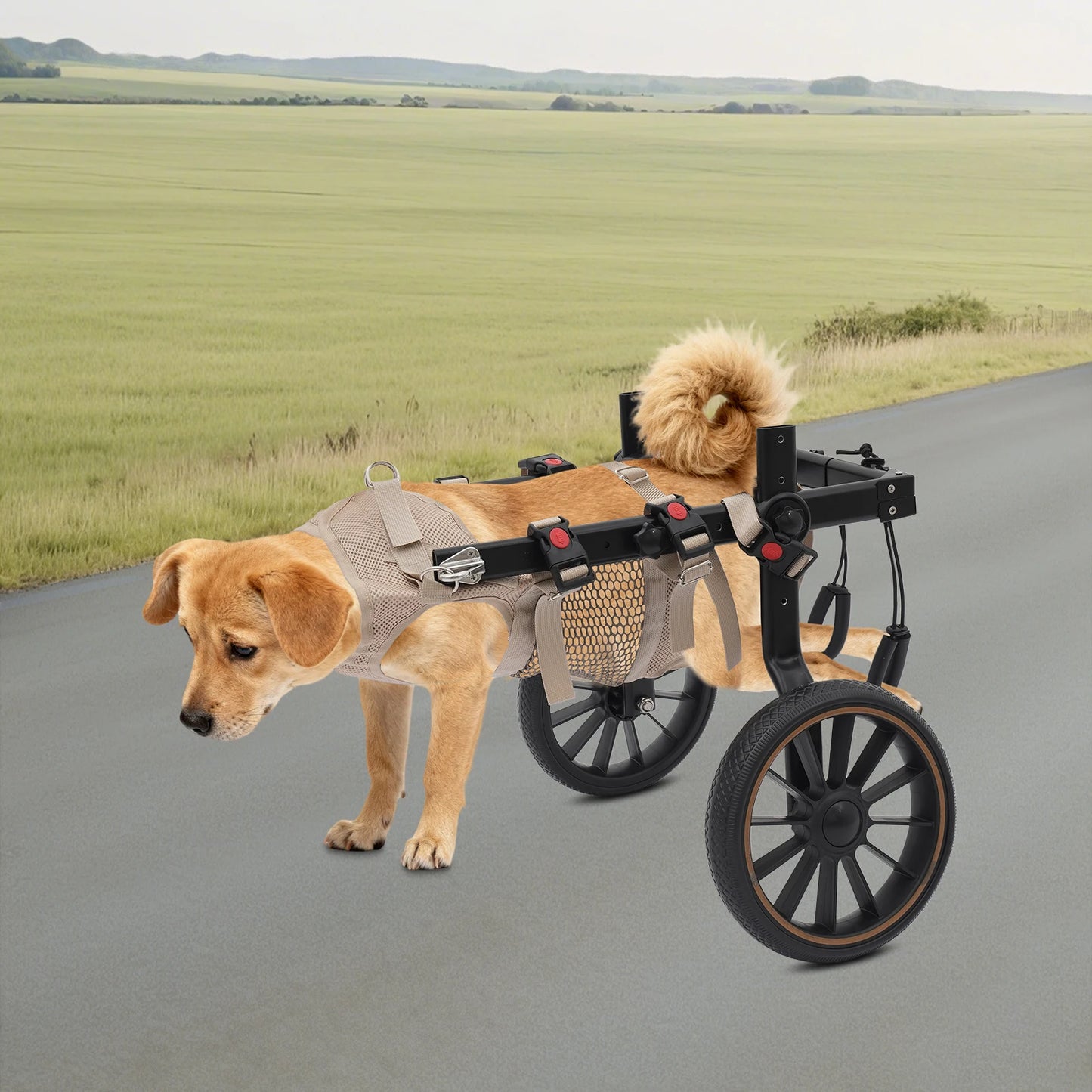 Bymaocar Aluminum Dog Wheelchair For Hind Legs Up To 65kg