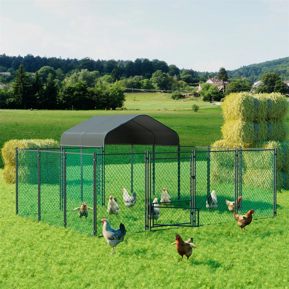 BORWART Heavy Duty Walkin Chicken Coop With UV Cover