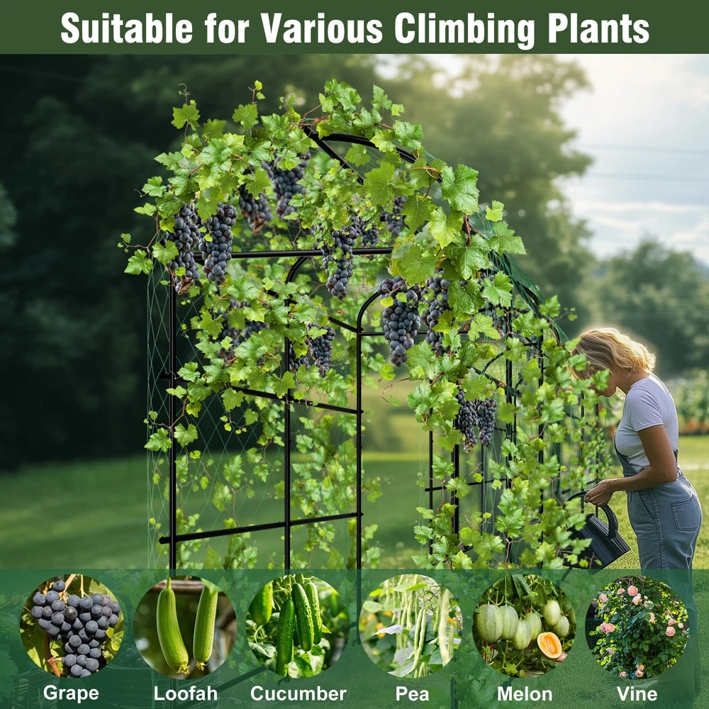 Wisfor U-Shaped Metal Tall Garden Plant Trellis For Climbing Plants