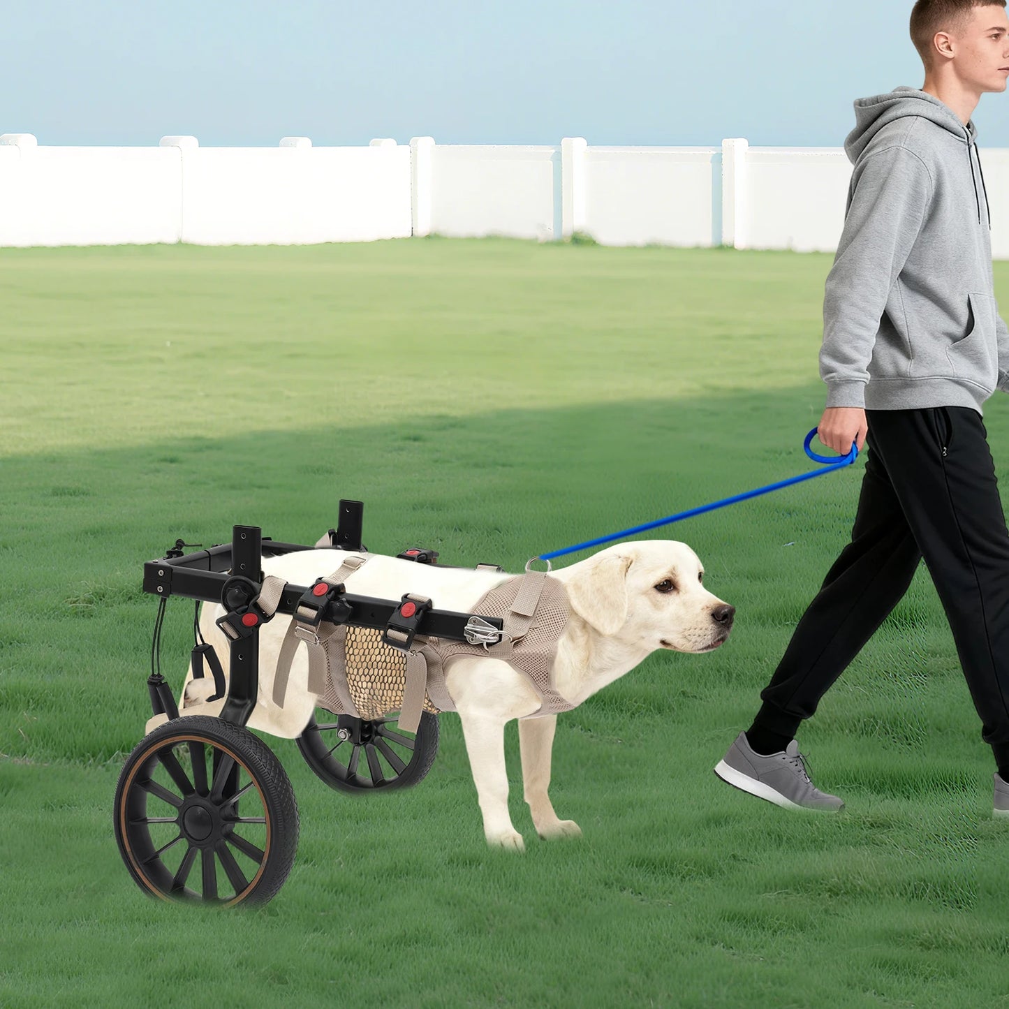 Bymaocar Aluminum Dog Wheelchair For Hind Legs Up To 65kg