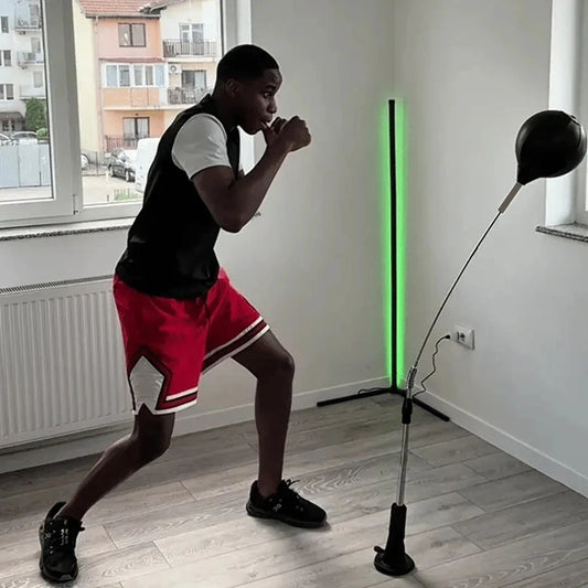 Professional Boxing Reflex Punching Bag For Home Gym Fitness