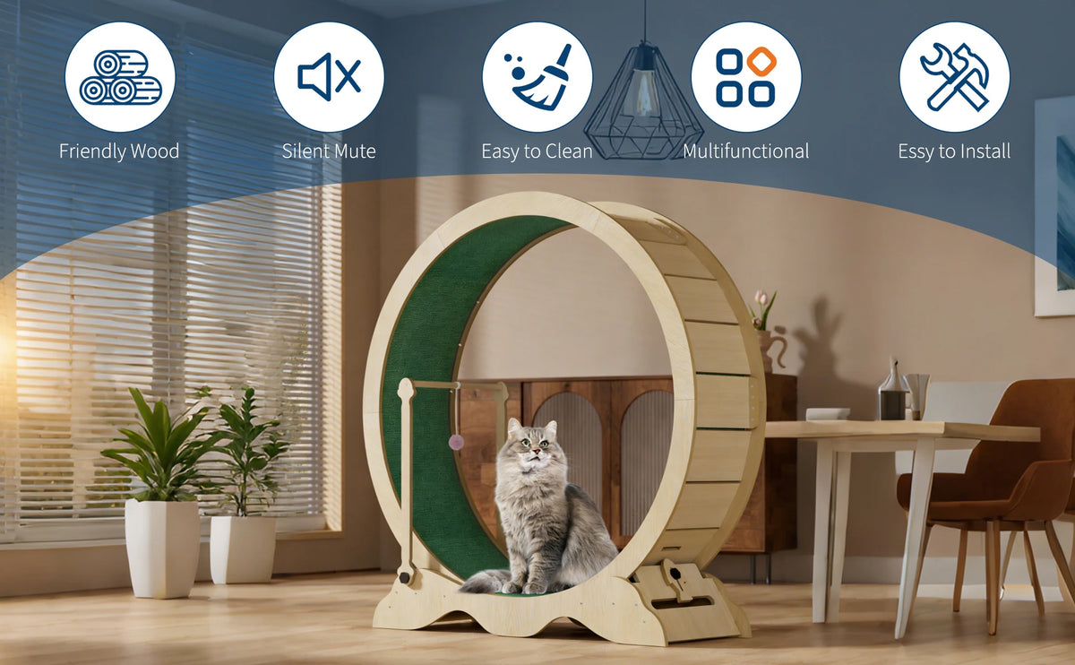 Quiet Indoor Cat Exercise Wheel With Detachable Carpet For Fitness