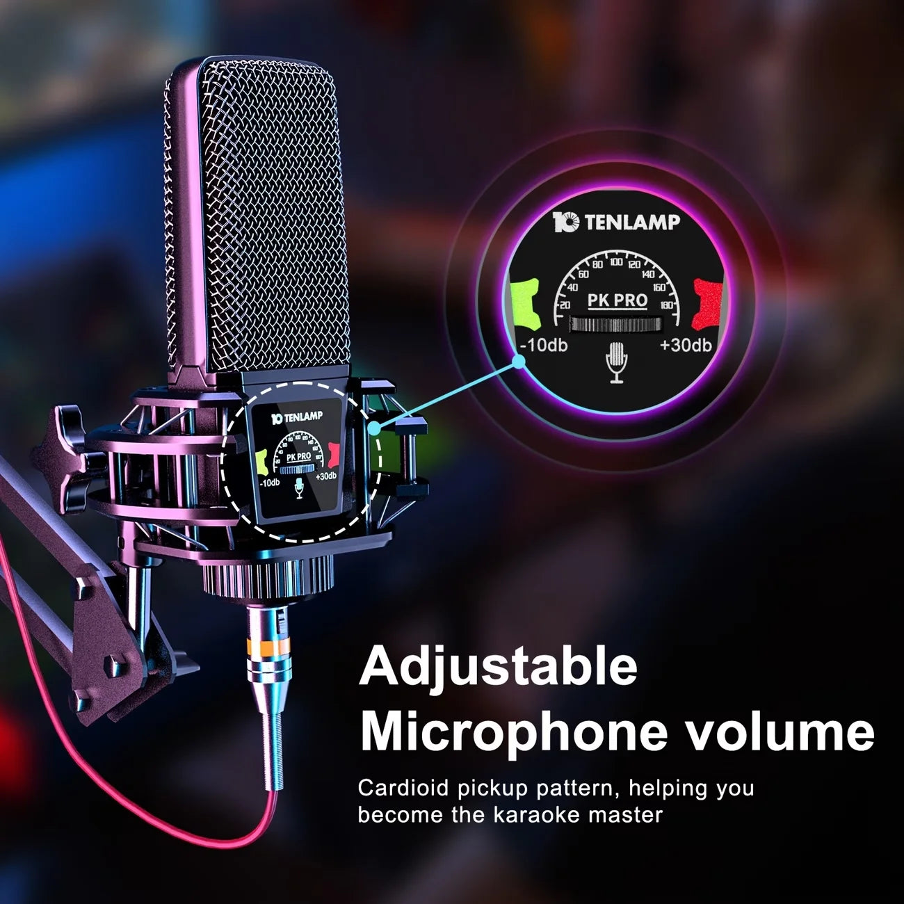 Tenlamp G10 Professional Microphone Bundle With Voice Changer And Reverb