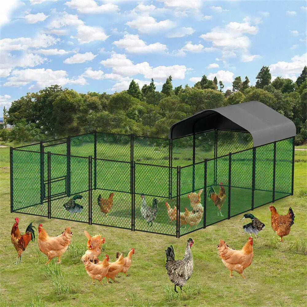 BORWART Heavy Duty Walkin Chicken Coop With UV Cover