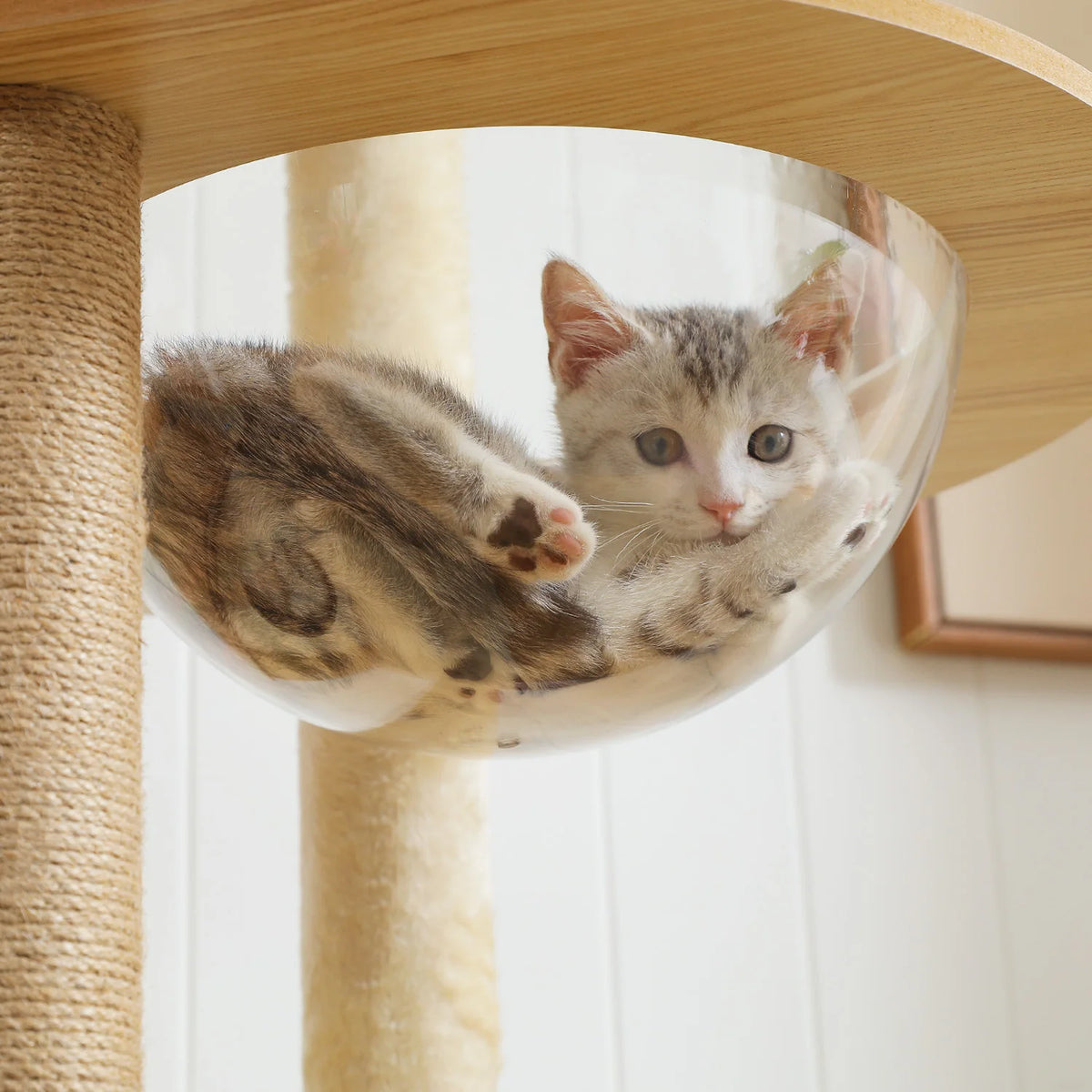 PAWZ Multi-Level Cat Tree With Scratching Posts And Hammock