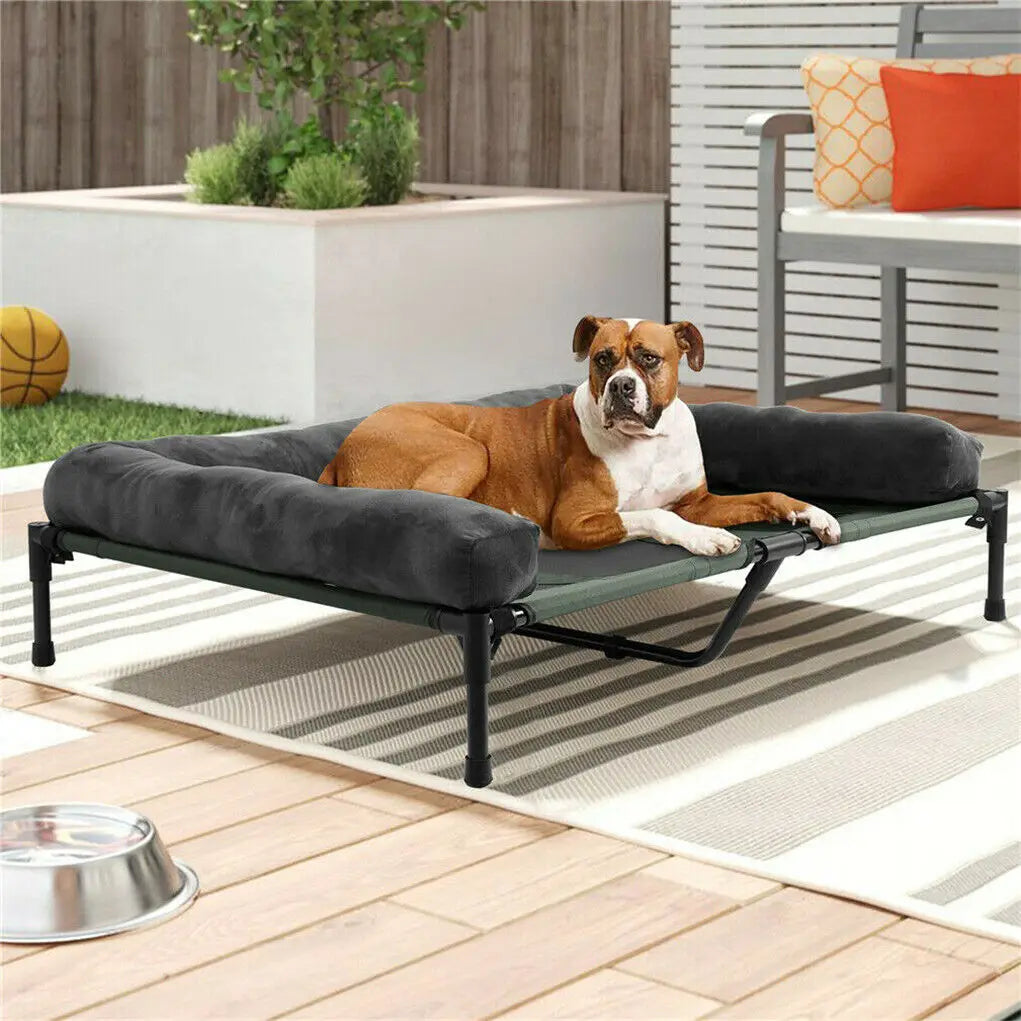 BINGOPAW Elevated Outdoor Indoor Dog Bed With Detachable Bolster