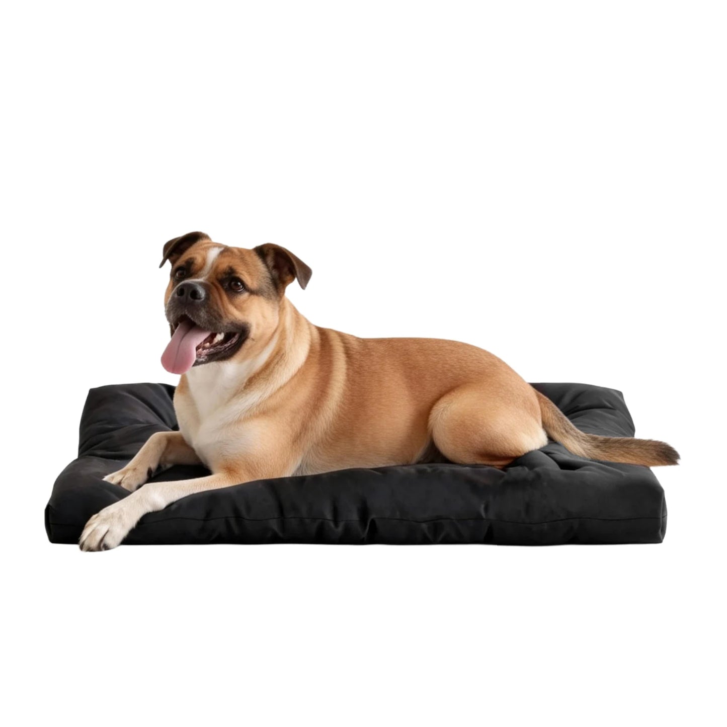 Chew Proof Dog Bed Indestructible Kennel Pad Waterproof
