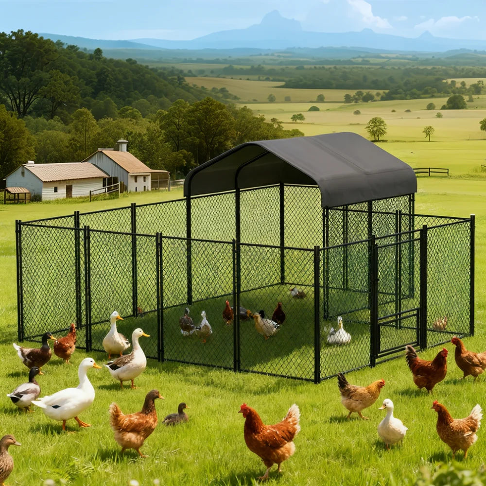 BORWART Heavy Duty Walkin Chicken Coop With UV Cover