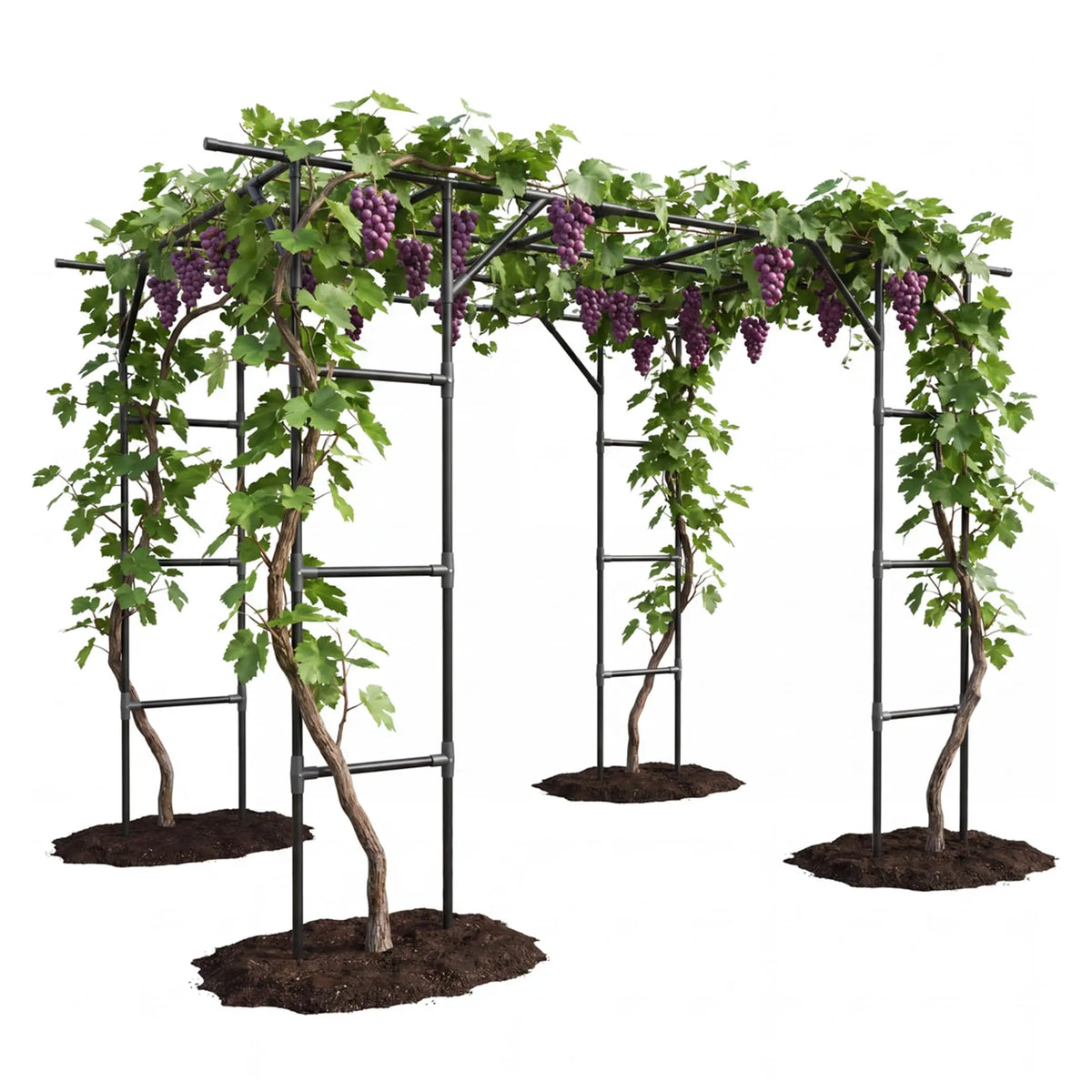 HiMiss Metal Garden Arch Trellis For Outdoor Climbing Plants