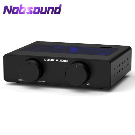 Douk Audio A5 TPA3255 Class D Stereo HiFi Amplifier