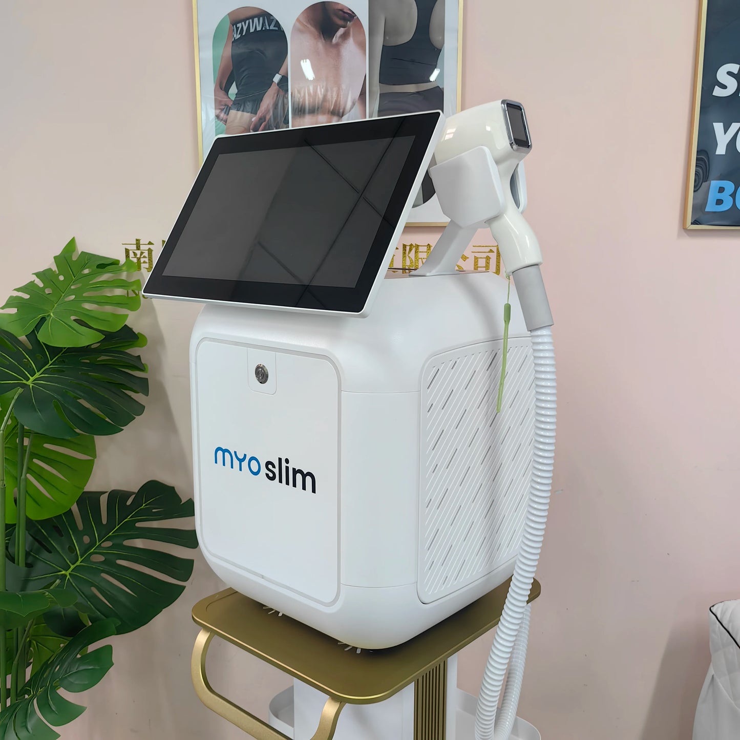 MYOSLIM Professional 2 In 1 Diode Pico Device Hair Removal