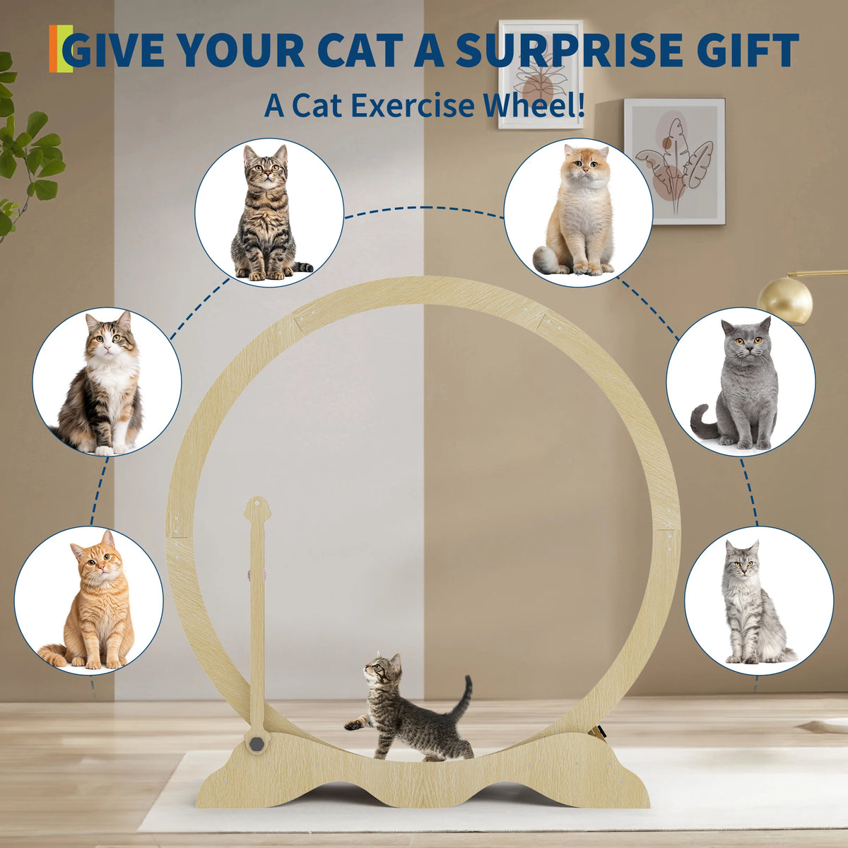 Quiet Indoor Cat Exercise Wheel With Detachable Carpet For Fitness