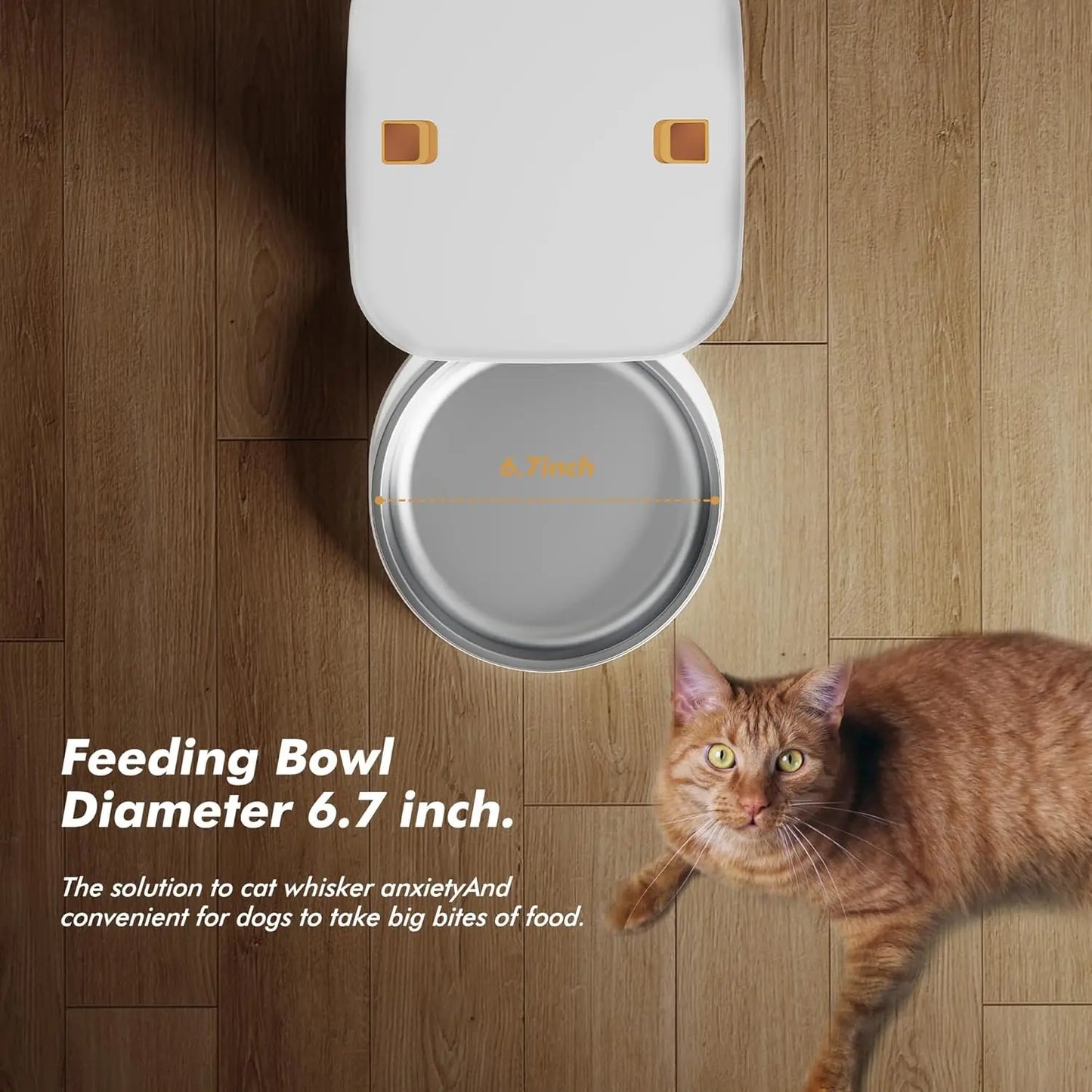 Nityers 8L Automatic Cat Feeder With Timed Dispenser