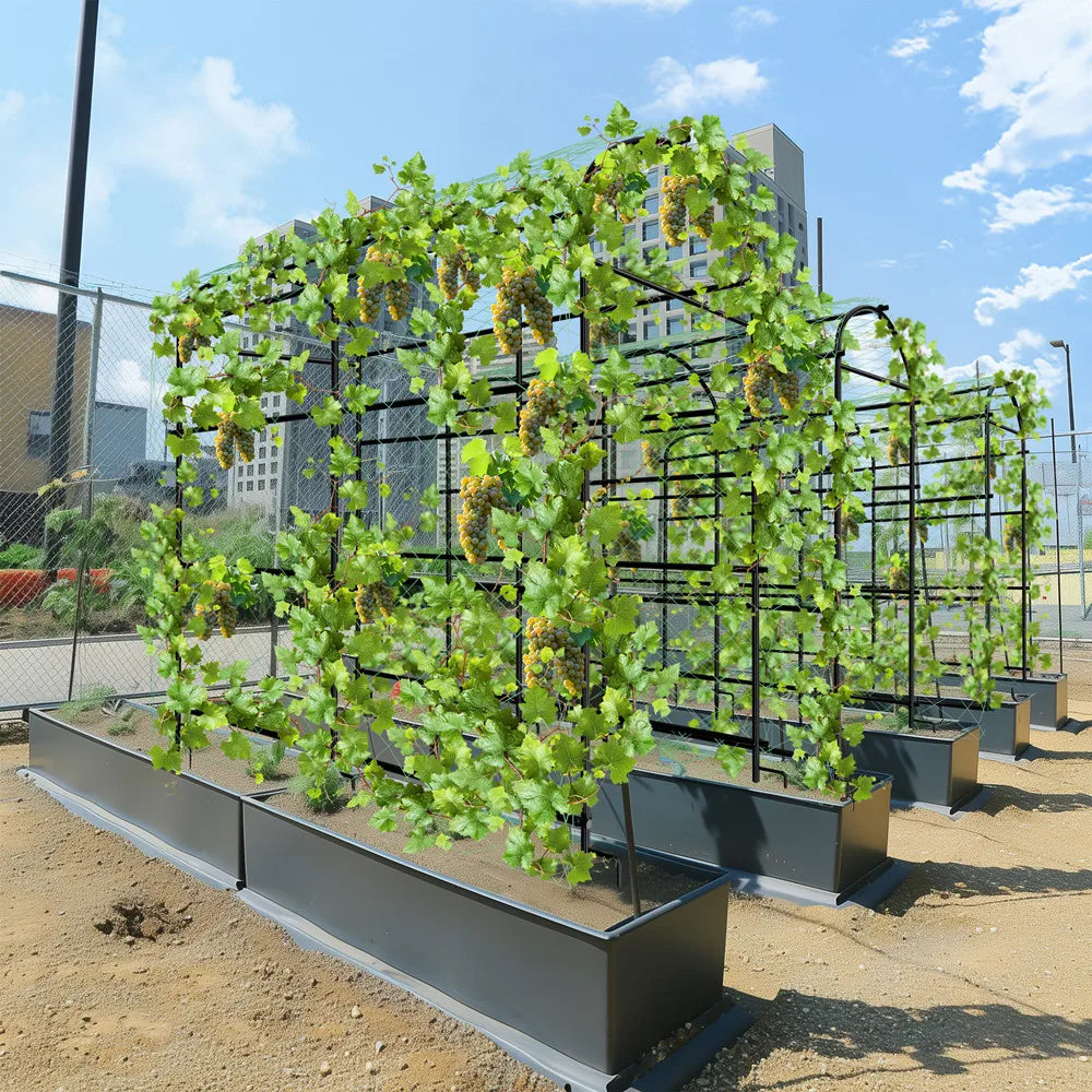 Wisfor U-Shaped Metal Tall Garden Plant Trellis For Climbing Plants