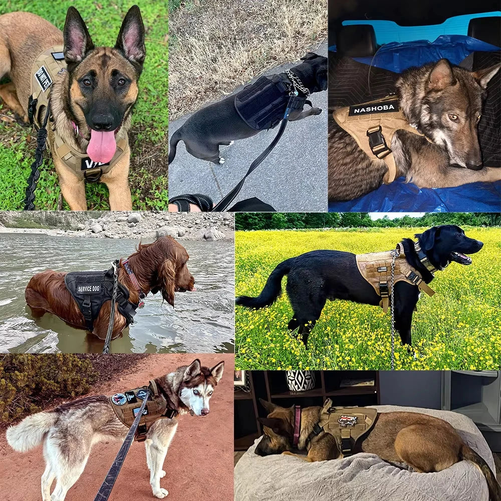 PetraVel Tactical Dog Vest Harness Set With Quick Release Buckle